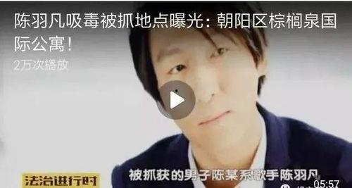 林熙爆料陈羽凡视频大全,揭秘娱乐圈不为人知的一面  第3张